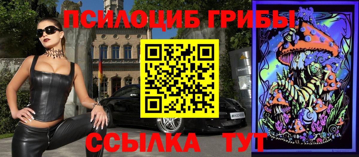 магазин продажи наркотиков  Вход с VPN  Рассказово  Галлюциногенные грибы Magic Shrooms 